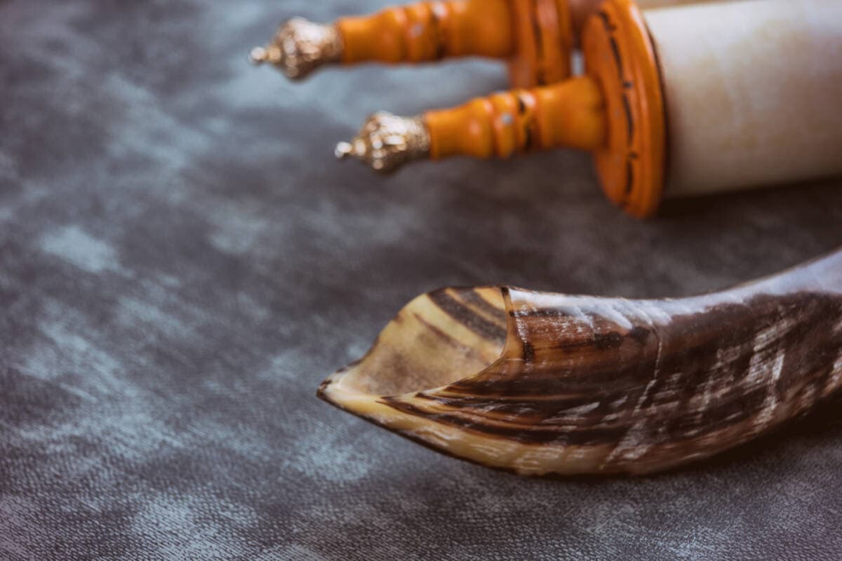 Torah - Sagradas Escrituras